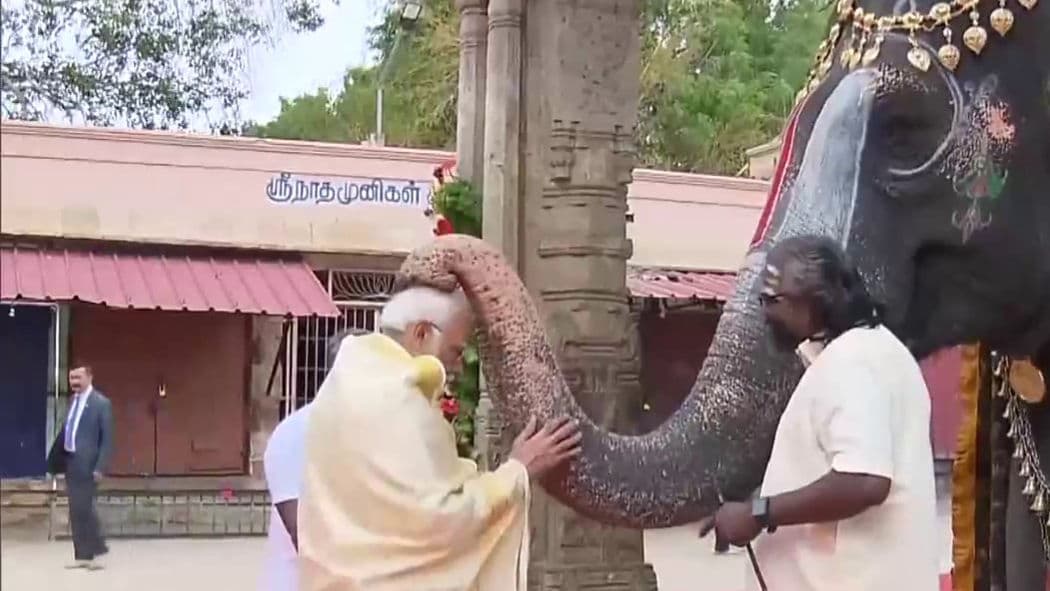 n elephant at Sri Ranganathaswamy Temple in Tiruchirappalli blessed Prime Minister Narendra Modi 